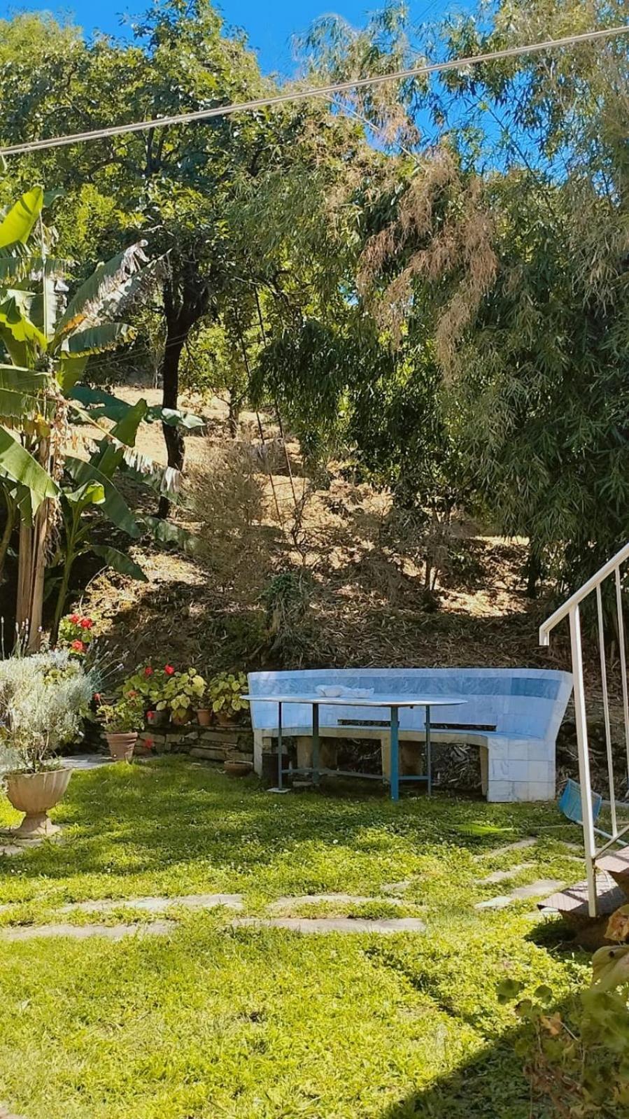 Casa Del Marmo Bed & Breakfast Pietrasanta Dış mekan fotoğraf